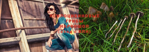 PSILOCYBIN Магас