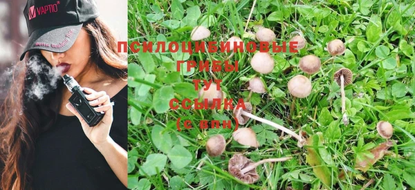 PSILOCYBIN Магас
