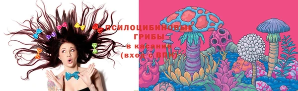 PSILOCYBIN Магас