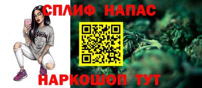 МДПВ Гагарин