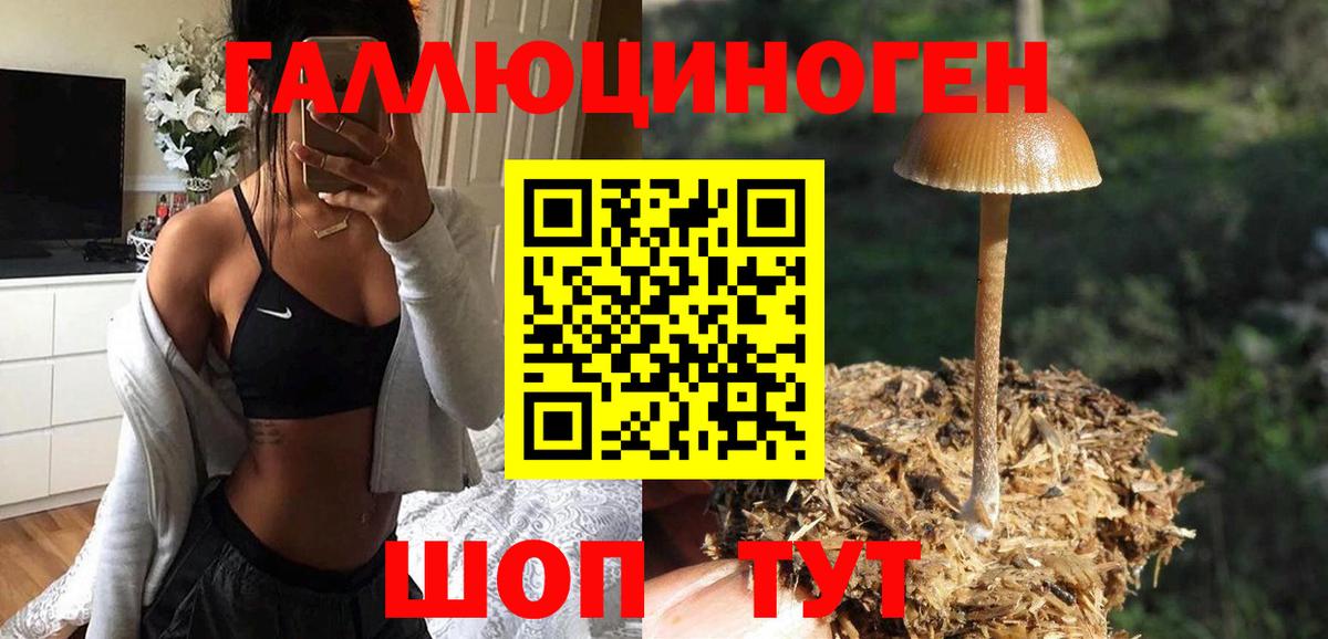 Галлюциногенные грибы Cubensis Мичуринск
