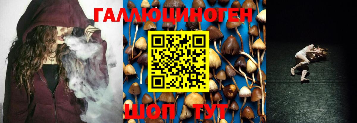 Псилоцибиновые грибы Magic Shrooms  Вход с VPN  Мичуринск 